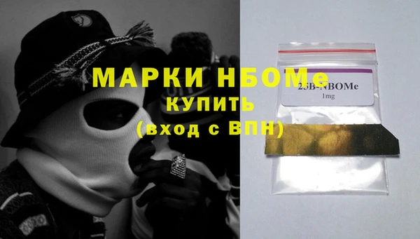 гашик Надым