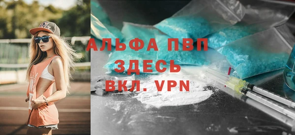 гашик Надым